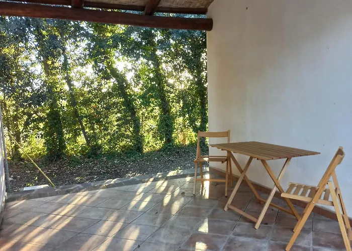 Degli Ulivi Farm stay