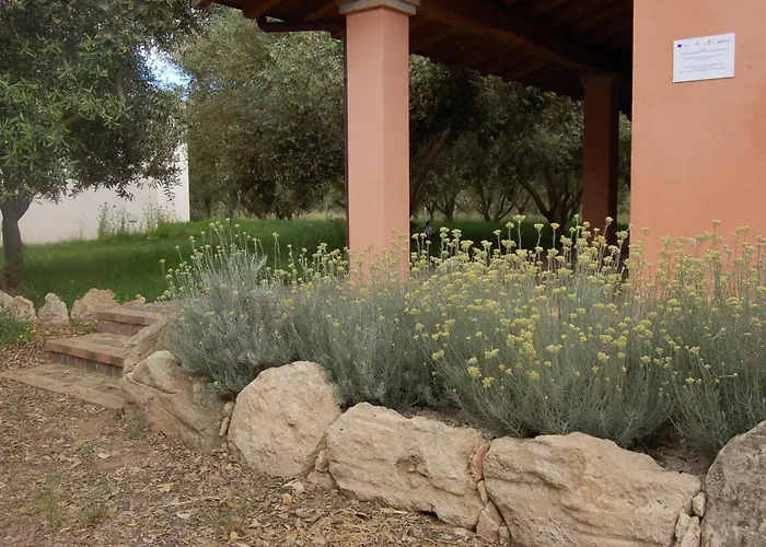 Degli Ulivi Farm stay *