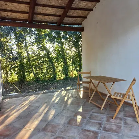 Degli Ulivi Farm stay