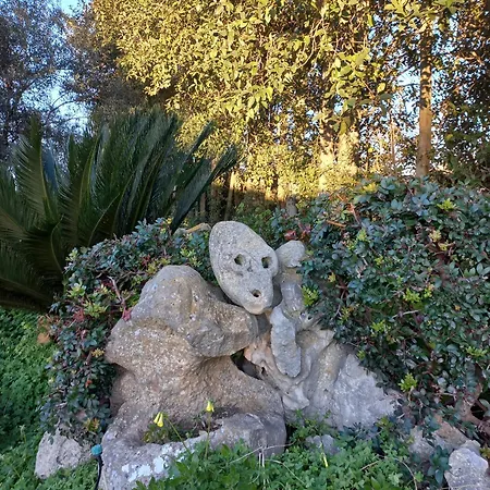 Alloggio per agriturismo Degli Ulivi