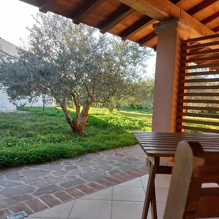 Degli Ulivi Farm stay
