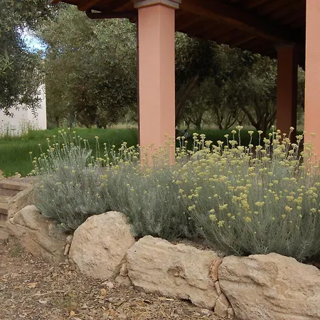 Degli Ulivi Farm stay *